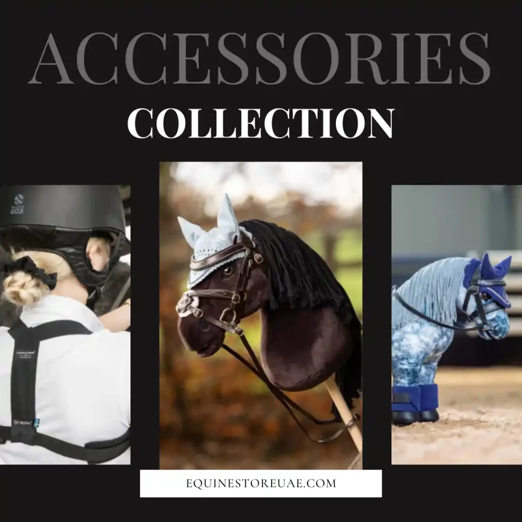 Accessories Collection Pro