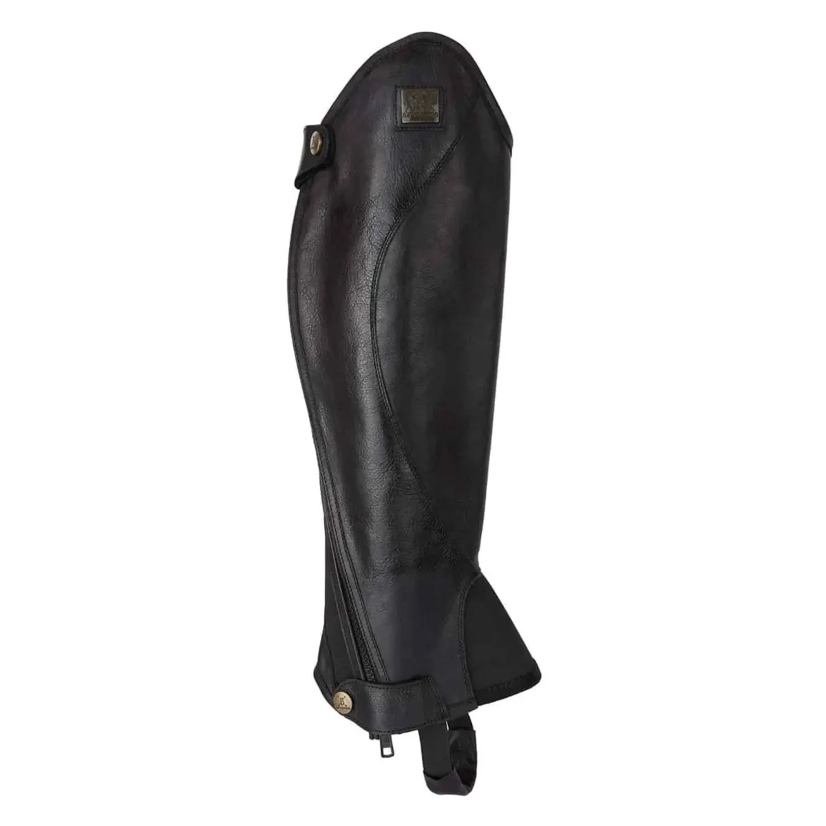 B Vertigo Cosmos Half Chaps – Elegant Leather Riding Chaps with Curved Seams & Secure Fit Brown