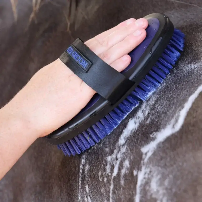 EZI-GROOM Grip Body Wash Brush – Soft Bristles & Sponge with Comfort Grip