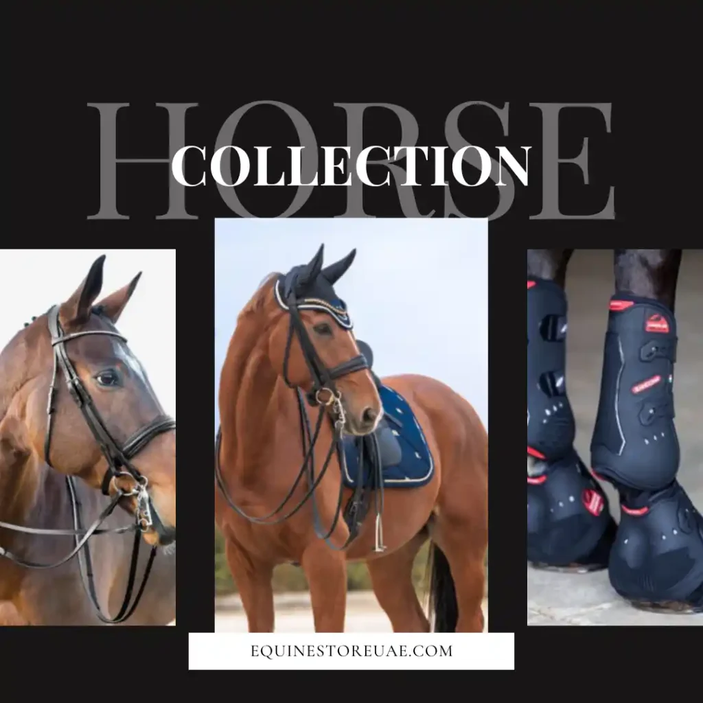 Horse Collection
