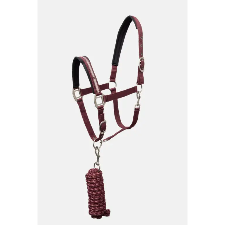 Horze Physical Sophistication Halter Set – Padded Halter with Matching Rope & Adjustable Fit
