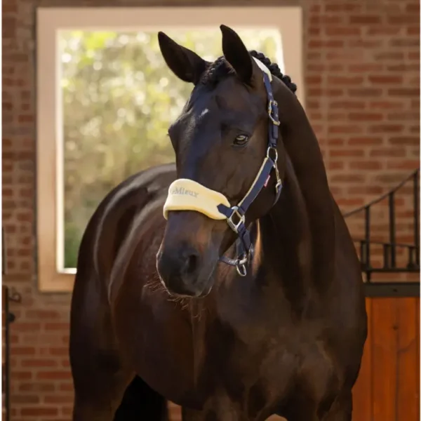LeMieux Vogue Headcollar & Leadrope – Soft Fleece Padding with Adjustable Fit & Matching Lead Rope