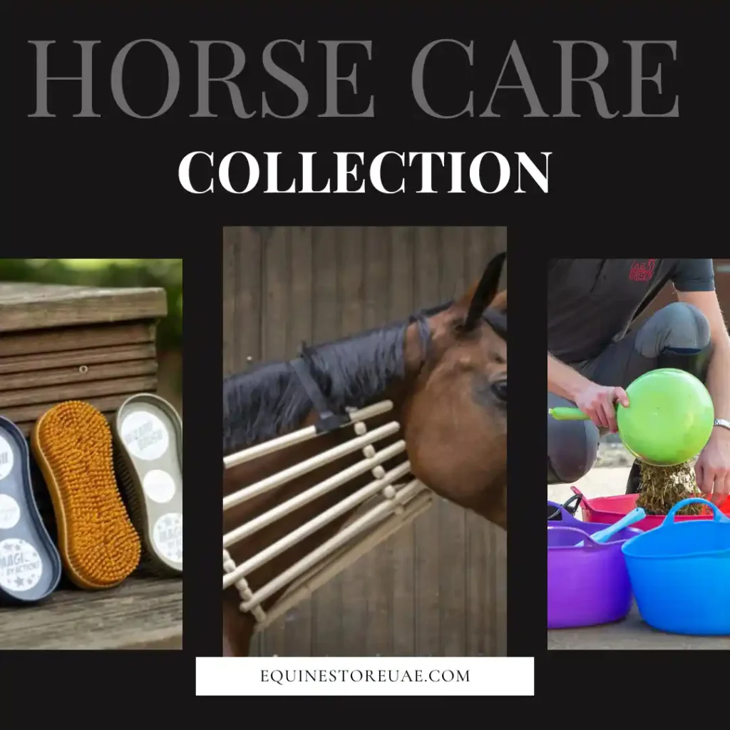 horse care collection